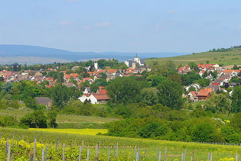 Rümpel Meister Express in Ingelheim am Rhein