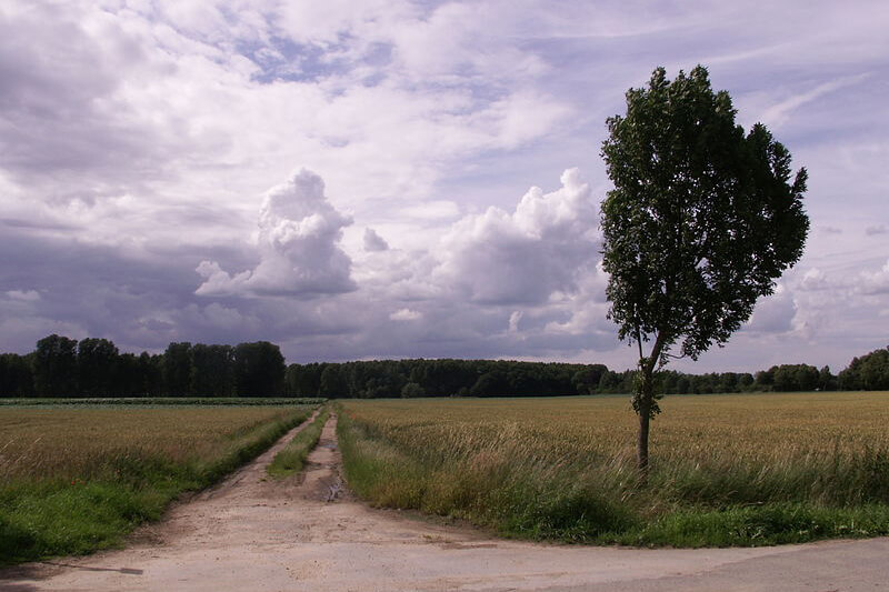 Rümpel Meister Express in Wassenberg