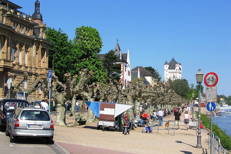 Rümpel Meister Express in Eltville am Rhein