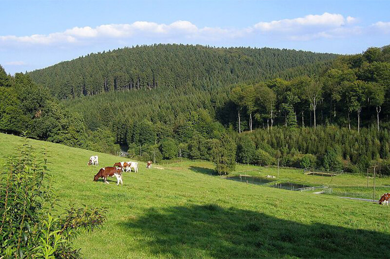Rümpel Meister Express in Hemer